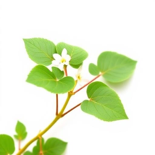 Horny Goat Weed